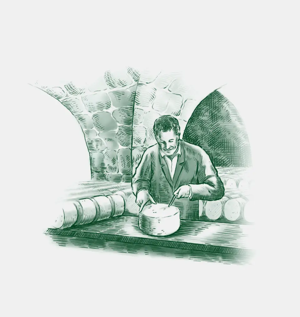 Illustration affinage du fromage de Roquefort pour Société - Agence de communication Unique Design - Occitanie