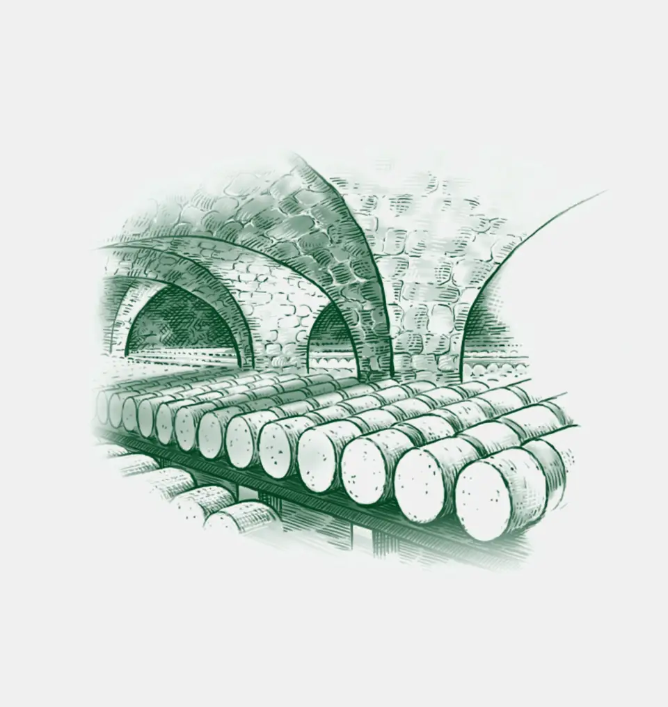 Illustration des caves de Roquefort pour Société - Agence de communication Unique Design - Occitanie