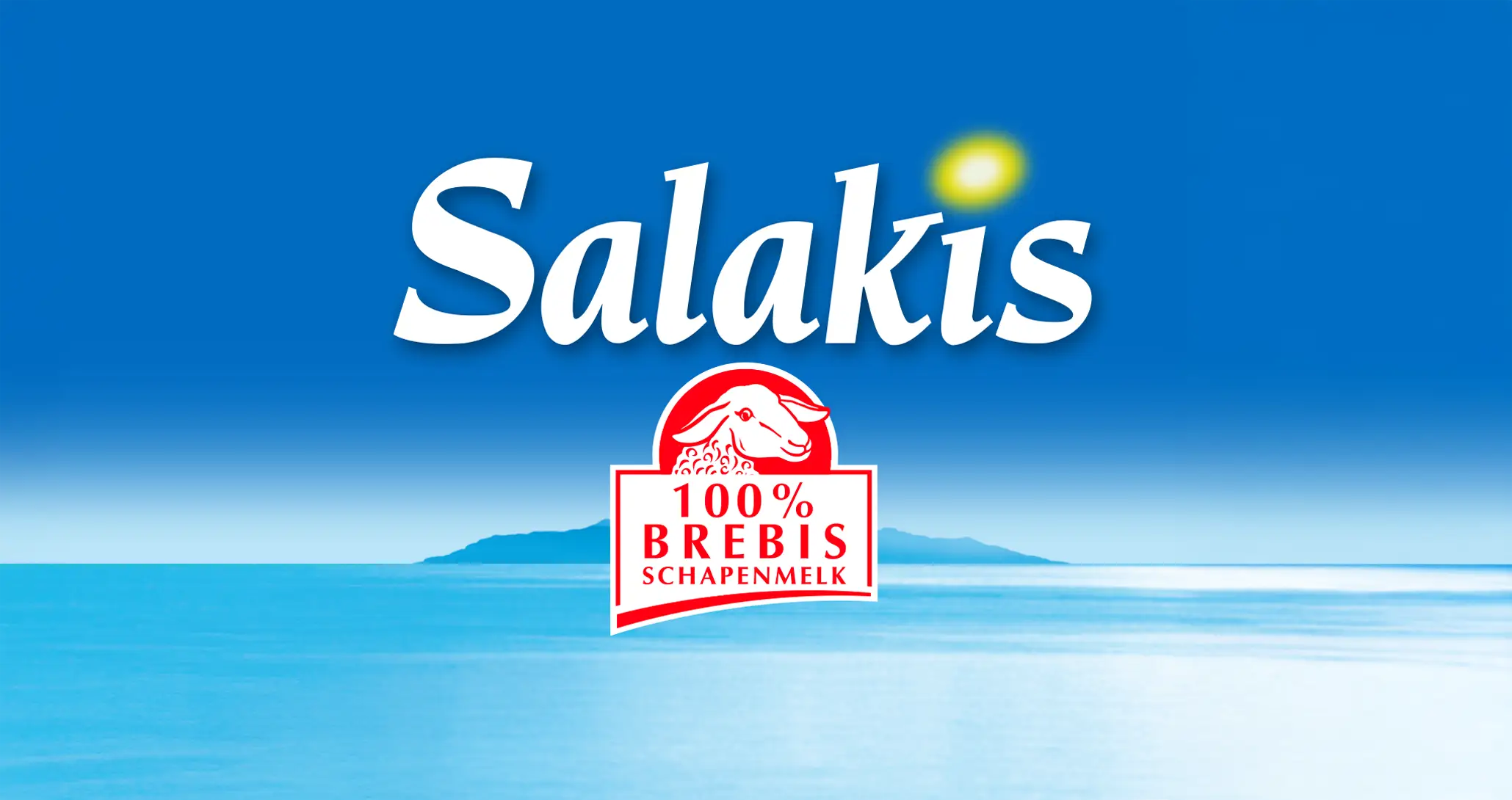 Création du logo Salakis par Unique Design agence de communication - Occitanie